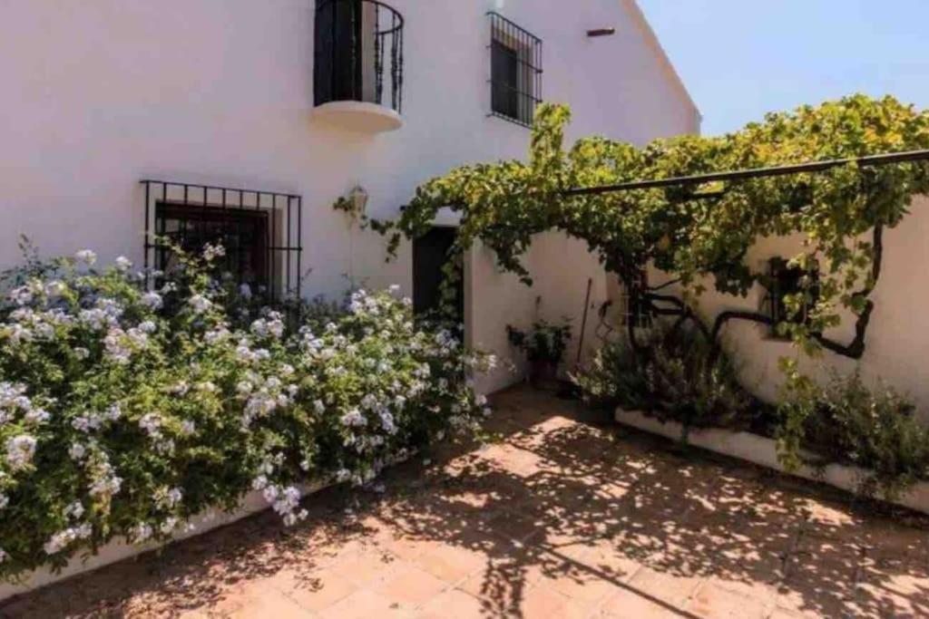 Cortijo Nerja Artist Paradise Exterior foto