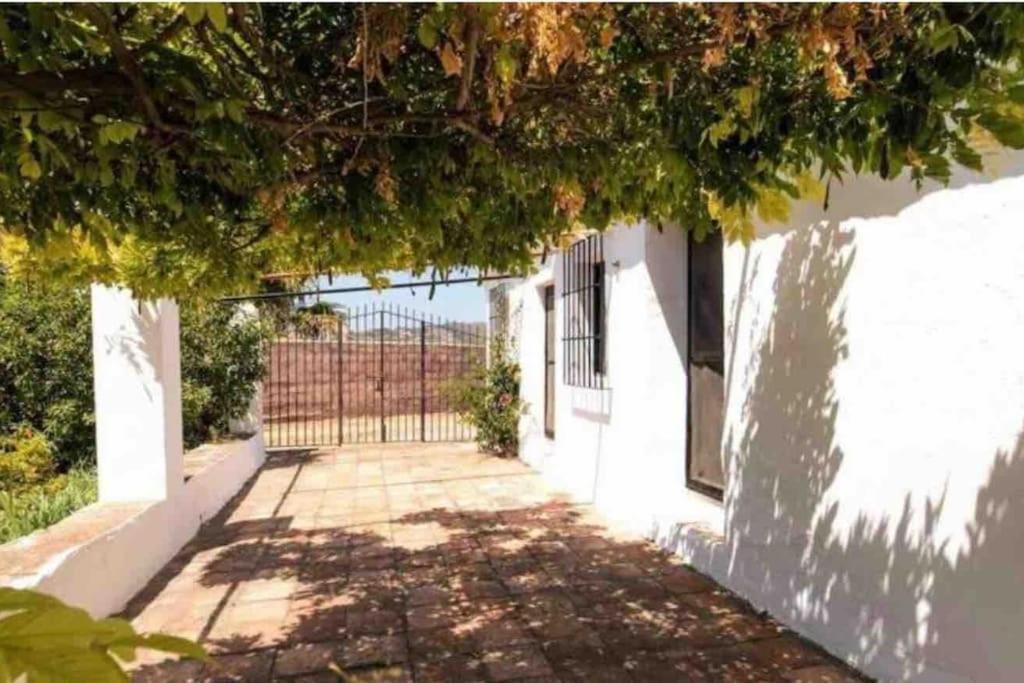 Cortijo Nerja Artist Paradise Exterior foto