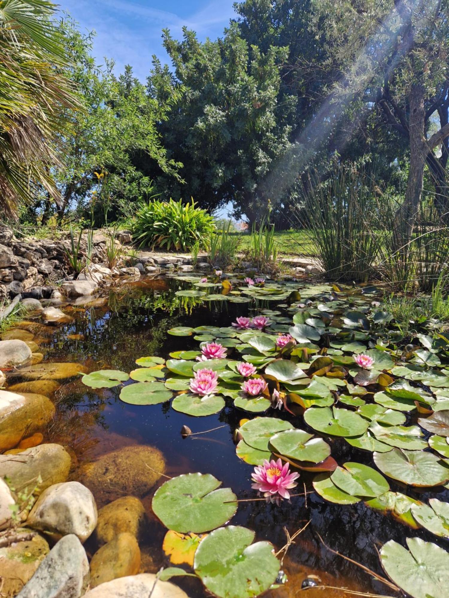 Cortijo Nerja Artist Paradise Exterior foto
